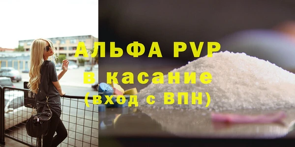 спиды Бородино