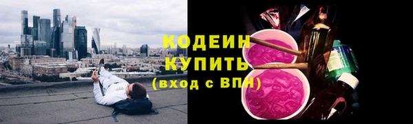 спиды Бородино