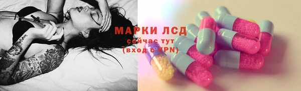 спиды Бородино