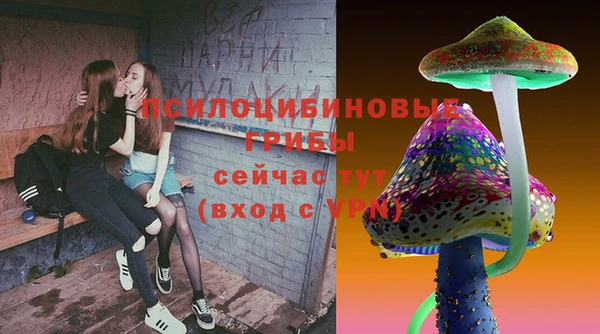 твердый Бугульма