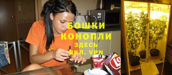 mdpv Бронницы