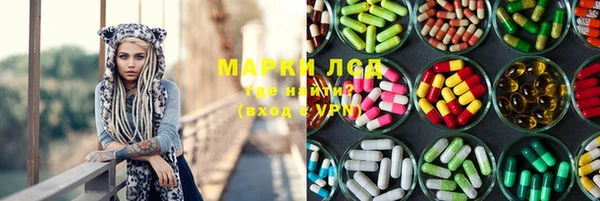 спиды Бородино