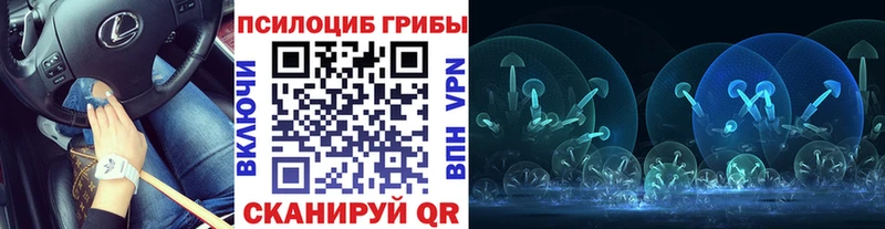 Галлюциногенные грибы Psilocybe  Лыткарино 